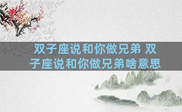 双子座说和你做兄弟 双子座说和你做兄弟啥意思